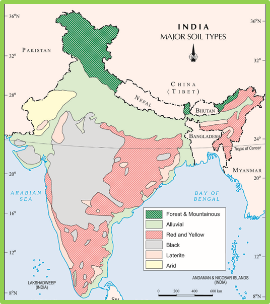 q-discuss-the-characteris-ics-of-major-soil-zones-of-india-and-their